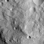 FC21A0010676_11291125001F1I.jpg