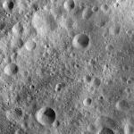 FC21A0010698_11291224725F1I.jpg