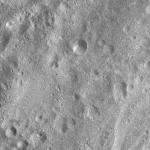 FC21A0010707_11291232325F1I.jpg