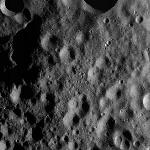 FC21A0010736_11292100718F1I.jpg