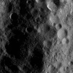 FC21A0010741_11292103718F1I.jpg
