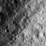 FC21A0010743_11292104918F1I.jpg