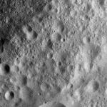 FC21A0010745_11292105718F1I.jpg