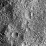 FC21A0010792_11292231359F1I.jpg
