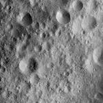 FC21A0010840_11293112657F1I.jpg
