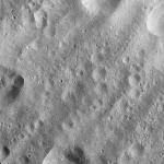 FC21A0010847_11293115457F1I.jpg