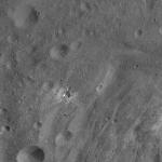 FC21A0010856_11293123057F1I.jpg