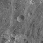 FC21A0010858_11293123857F1I.jpg