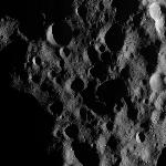 FC21A0010875_11293222954F1I.jpg