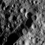 FC21A0010880_11293225954F1I.jpg