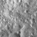 FC21A0010892_11294000154F1I.jpg