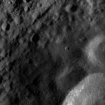 FC21A0010928_11294114436F1N.jpg