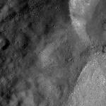 FC21A0010930_11294115636F1N.jpg
