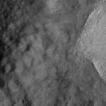 FC21A0010931_11294120237F1N.jpg