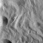 FC21A0010966_11294144436F1N.jpg