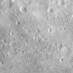FC21A0011013_11295013722F1N.jpg