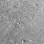 FC21A0011016_11295014922F1N.jpg