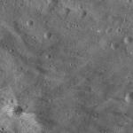FC21A0011018_11295015722F1N.jpg