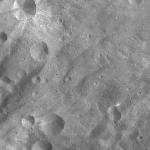 FC21A0011023_11295021722F1N.jpg