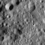 FC21A0011044_11295122533F1N.jpg