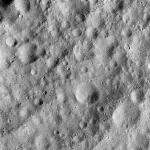 FC21A0011046_11295123733F1N.jpg