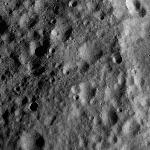 FC21A0011199_11297010715F1N.jpg
