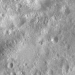 FC21A0011217_11297022915F1N.jpg