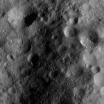 FC21A0011254_11297134014F1N.jpg