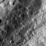 FC21A0011256_11297135214F1N.jpg