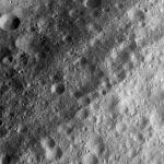 FC21A0011257_11297135614F1N.jpg
