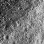 FC21A0011258_11297140014F1N.jpg