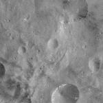 FC21A0011280_11297152815F1N.jpg