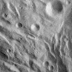 FC21A0011291_11297164214F1N.jpg