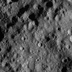 FC21A0011351_11298133032F1N.jpg