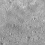 FC21A0011376_11298152832F1N.jpg
