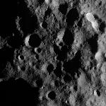 FC21A0011401_11299013813F1N.jpg