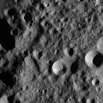 FC21A0011404_11299015613F1N.jpg