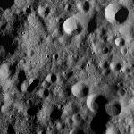 FC21A0011405_11299020214F1N.jpg