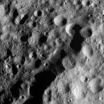 FC21A0011406_11299020813F1N.jpg