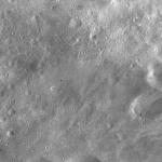 FC21A0011429_11299035213F1N.jpg