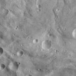 FC21A0011438_11299042813F1N.jpg