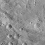 FC21A0011439_11299043213F1N.jpg