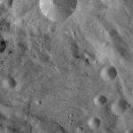 FC21A0011442_11299044413F1N.jpg