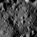 FC21A0011766_11300023549F8M.jpg
