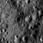 FC21A0011768_11300024309F7M.jpg