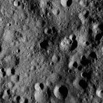 FC21A0011770_11300024322F5M.jpg