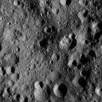 FC21A0011771_11300024329F4M.jpg