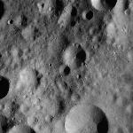 FC21A0011783_11300025655F8M.jpg