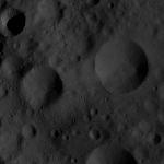 FC21A0011795_11300030320F5M.jpg