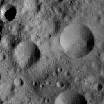 FC21A0011796_11300030327F6M.jpg